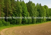 Orman şerhi nedeniyle açılan tazminat davası süreci ve tapu iptali sonrası mülkiyet hakkının korunmasına dair hukuki yolları tüm detaylarıyla öğrenin.