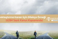 uzaklastirma karari icin dilekce ornegi