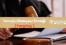 ceza temyiz dilekcesi ornegi