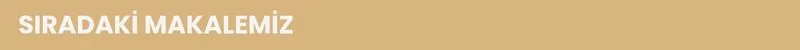siradaki makalemiz 2