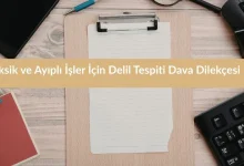 Eksik ve Ayıplı İşler İçin Delil Tespiti Dava Dilekçesi (Eser Sözleşmesine Dayalı) 7 Eksik ve Ayıplı İşler İçin Delil Tespiti Dava Dilekçesi